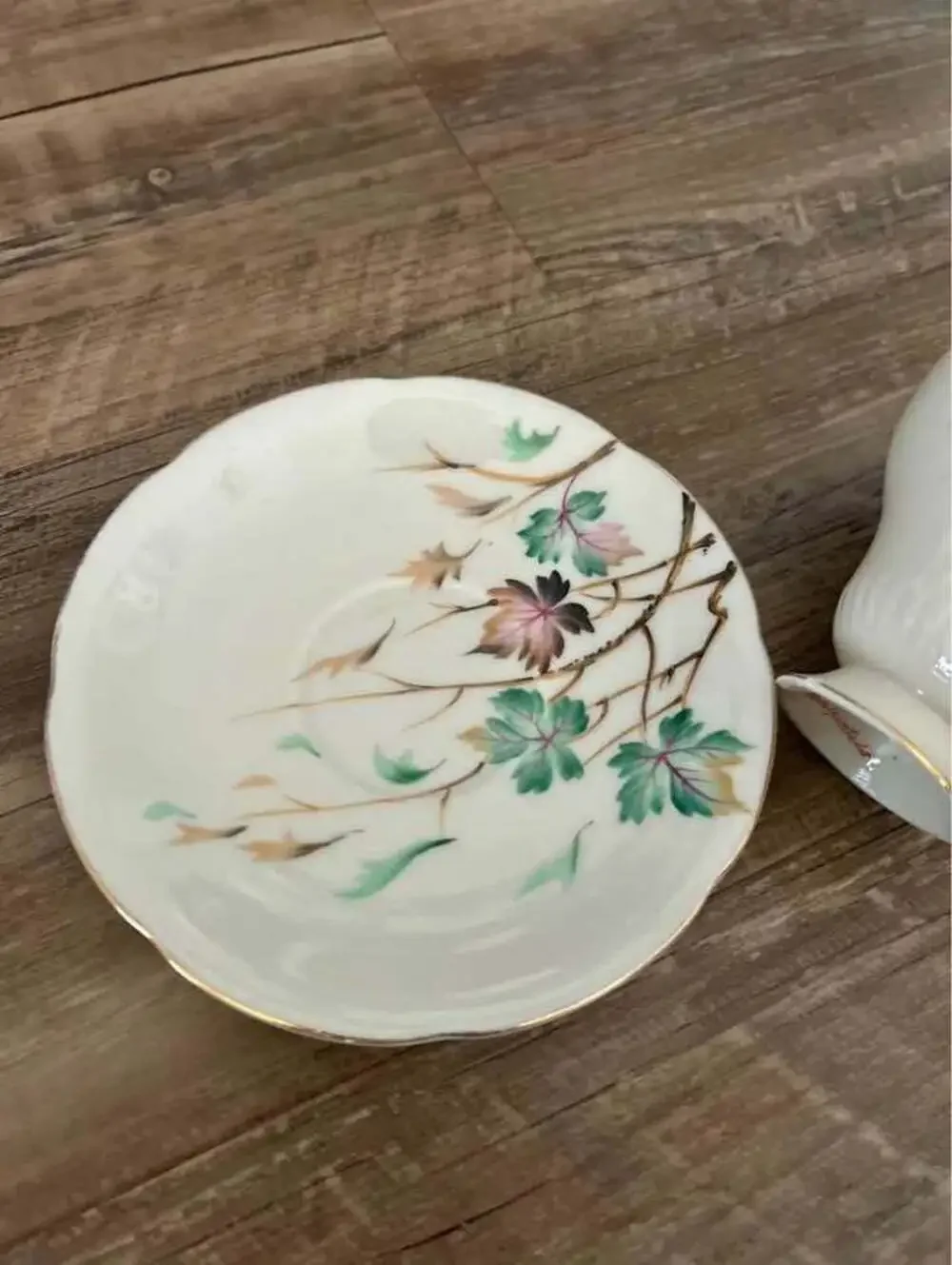 Vintage Hand-Painted Porcelain Teacup and Saucer Set
